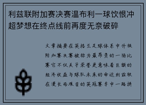 利兹联附加赛决赛温布利一球饮恨冲超梦想在终点线前再度无奈破碎 利兹联附加赛决赛温布利一球饮恨冲超梦想在终点线前再度无奈破碎